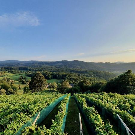 Vineyard Cottage Kulovec Ursna Sela Εξωτερικό φωτογραφία