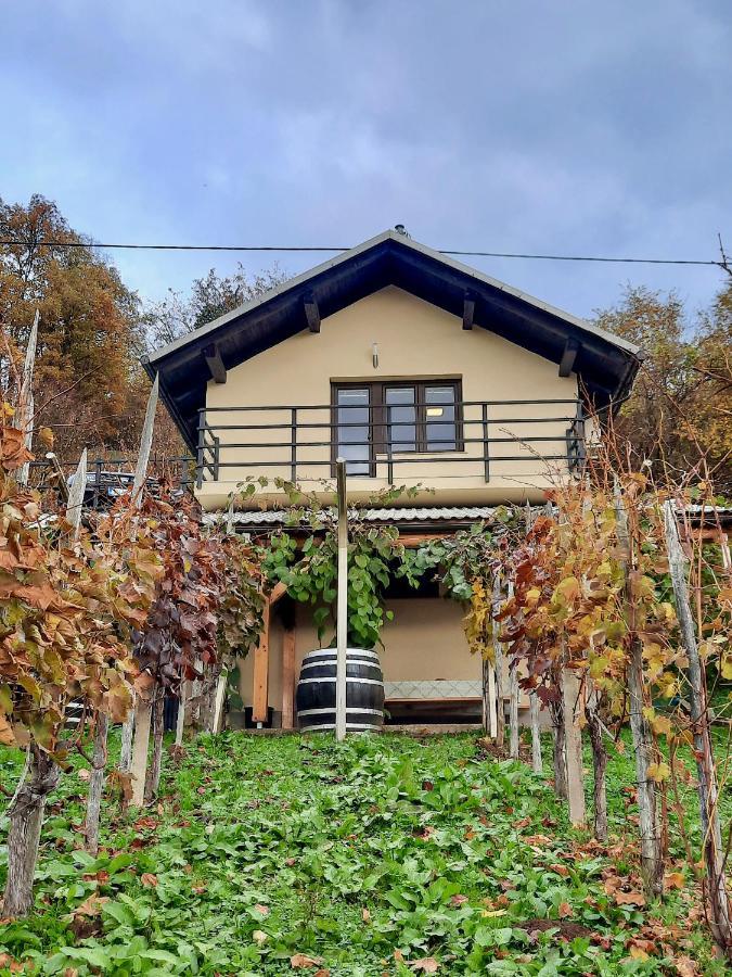 Vineyard Cottage Kulovec Ursna Sela Εξωτερικό φωτογραφία