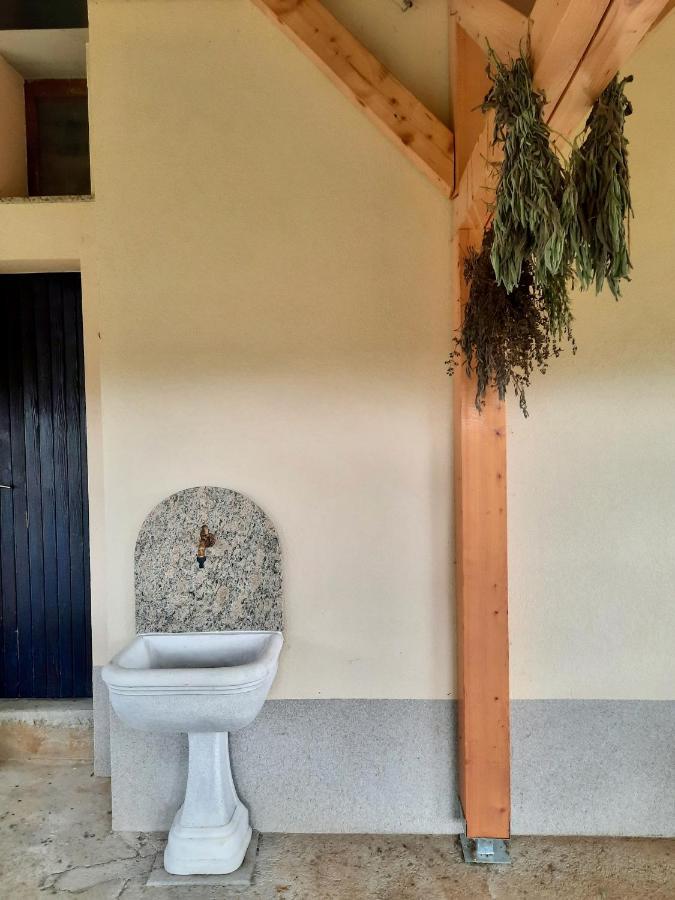 Vineyard Cottage Kulovec Ursna Sela Εξωτερικό φωτογραφία