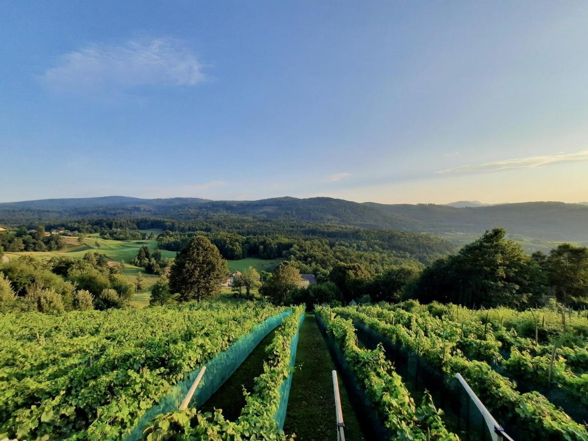 Vineyard Cottage Kulovec Ursna Sela Εξωτερικό φωτογραφία