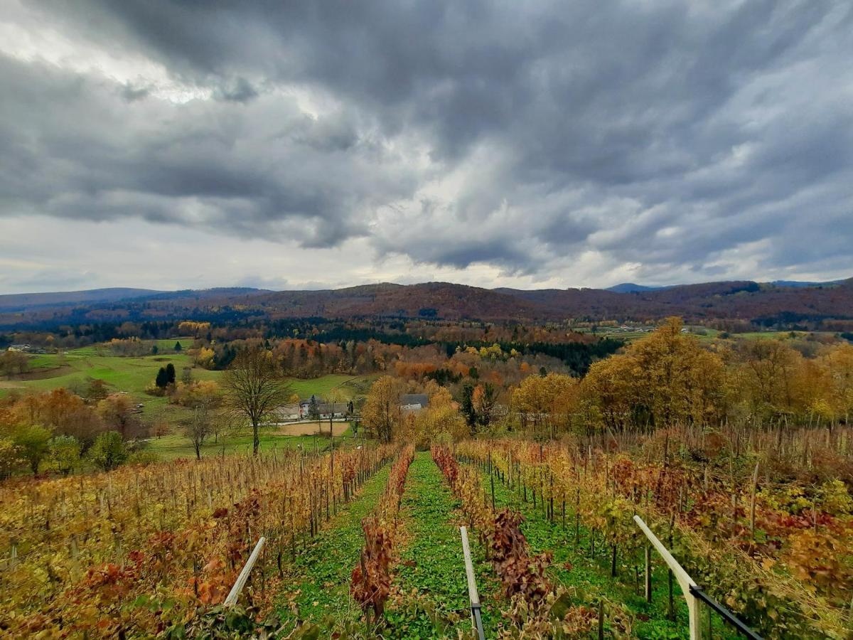 Vineyard Cottage Kulovec Ursna Sela Εξωτερικό φωτογραφία