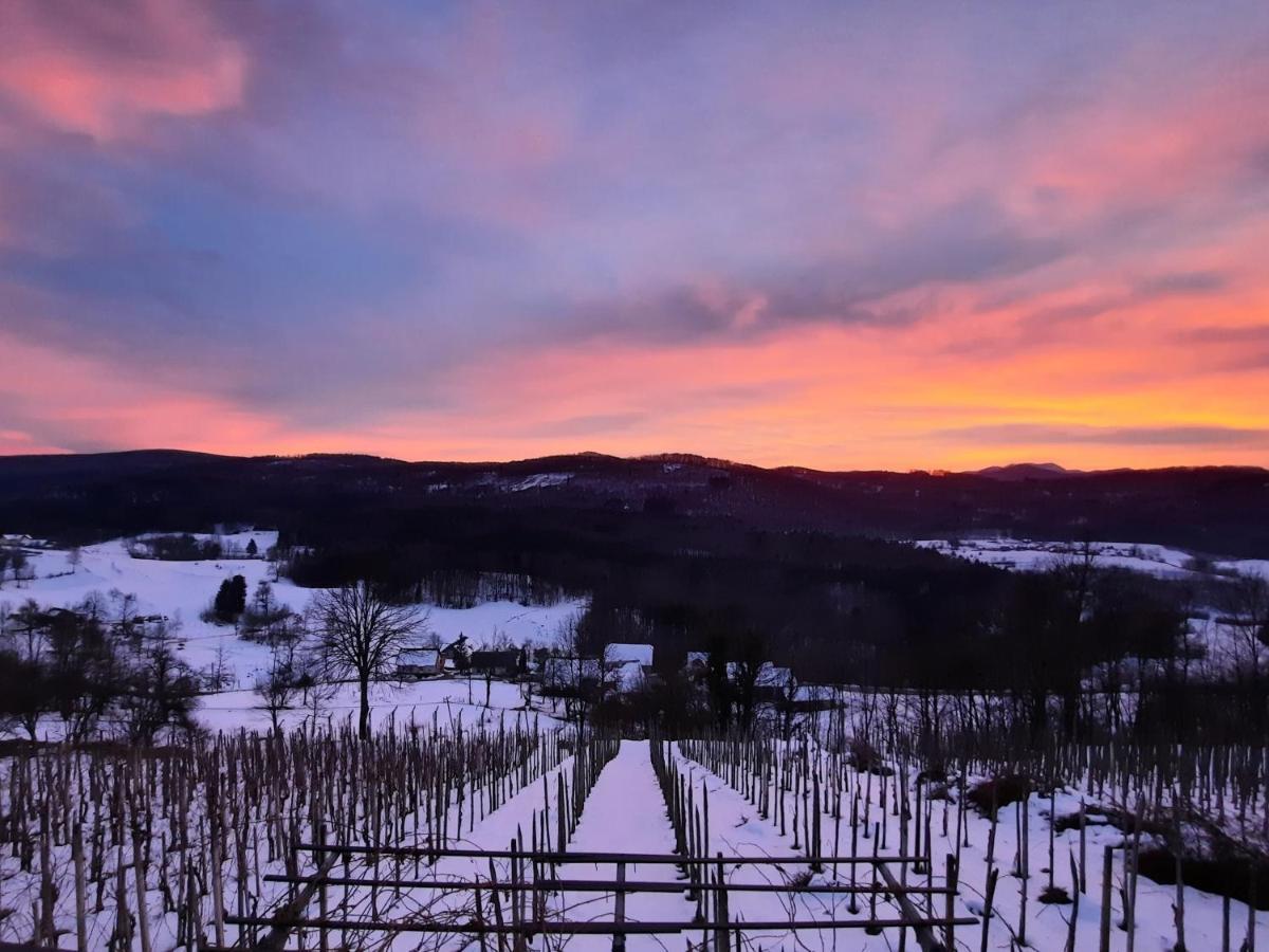 Vineyard Cottage Kulovec Ursna Sela Εξωτερικό φωτογραφία