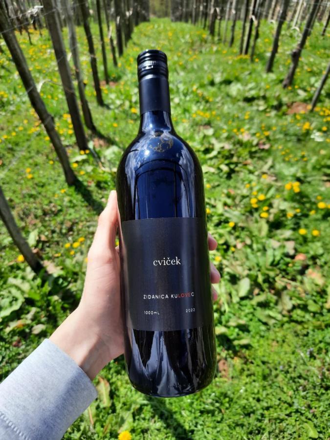 Vineyard Cottage Kulovec Ursna Sela Εξωτερικό φωτογραφία